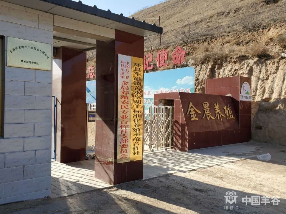 中国羊谷网